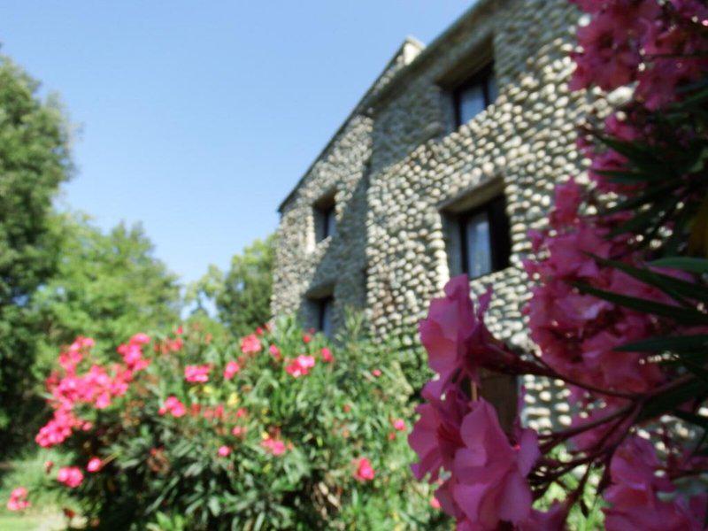 811C89649DEF7E93F6746211AF2599AC