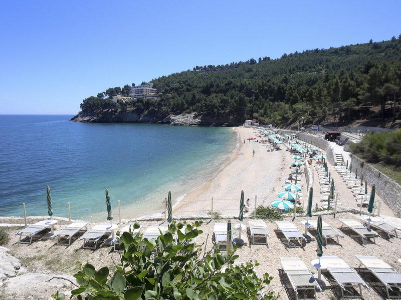 A6DC45312F7177F45E197B408886C9F4