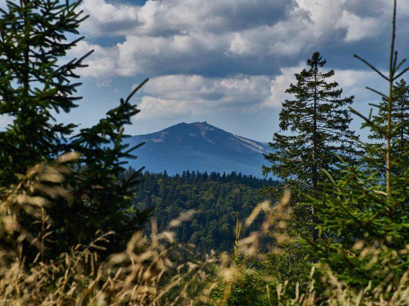 5EB5549C0B67CEEB5825537FA1BC8090