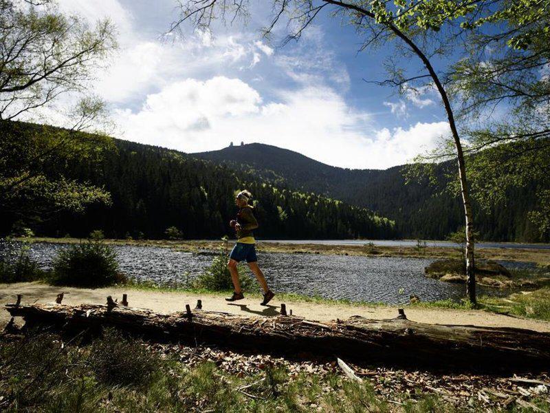 7656CB3F83948A70ADB96041B44E682D