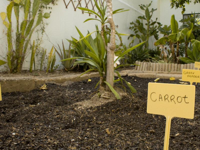 AE880269CC2B96FE4DC7524C46044543