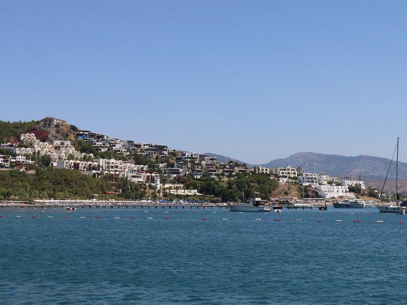 377AA56A0EDC15823BB06F348F897548