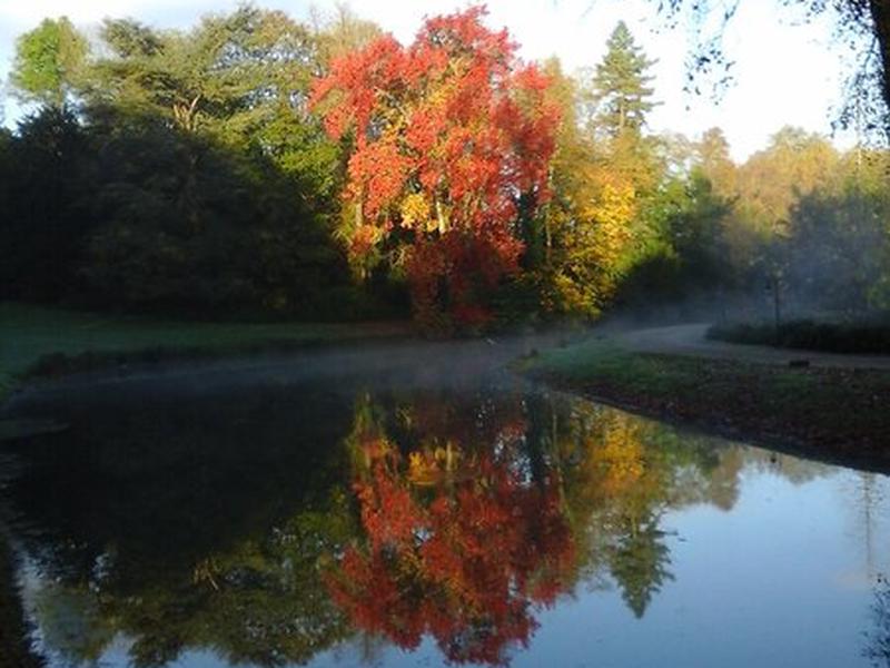 4545954244D6F82D534EEDA3AE484629