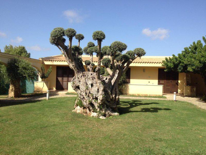 54D121A1C2964451565529FB23D78108