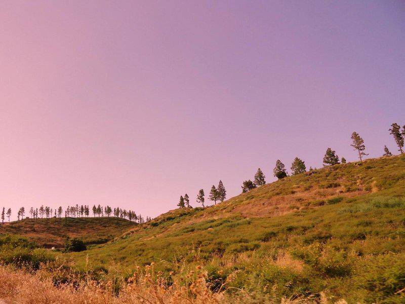 AA9F0BB2BC0BCDE5D62C1E765703BCFE