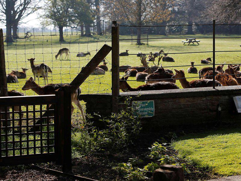 6599C121776C556F12BCB4EDAC18CB91