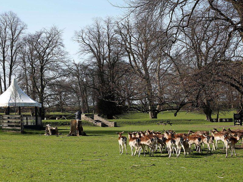 48D8FFDB0A84E31ED2FB6F6950AE7CEC