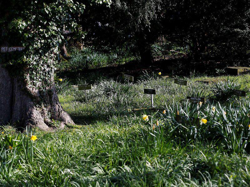 FC4C0C25388175F29CEE426E157FB4FD