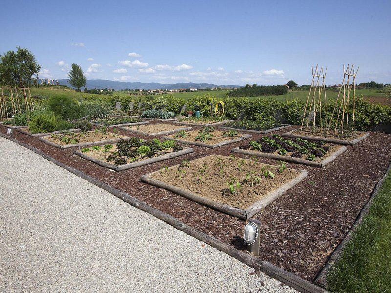 BDF6C7884F7170564A86D485FA566EA8