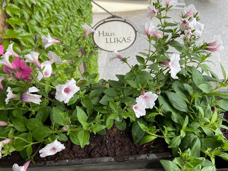 E7EE4EA1E71F41BF3FB14DFD3E53ECFD