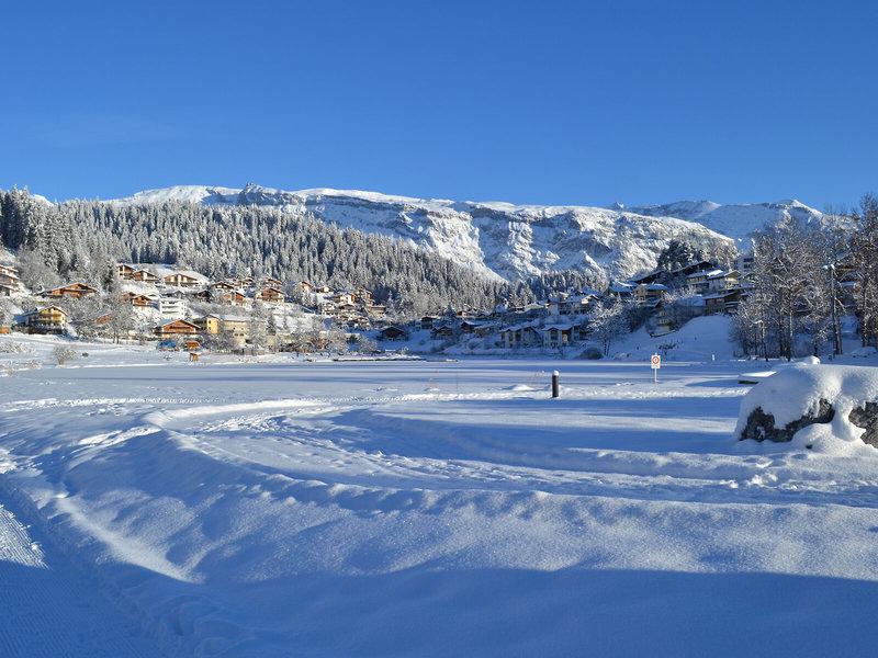 38F3137CF07CED9373E9A71C0C41F8A9