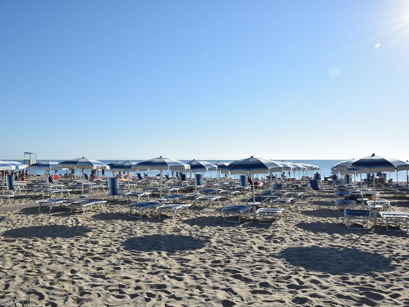 2366E9568E76D32DB5EBA6EDA2AAECE2