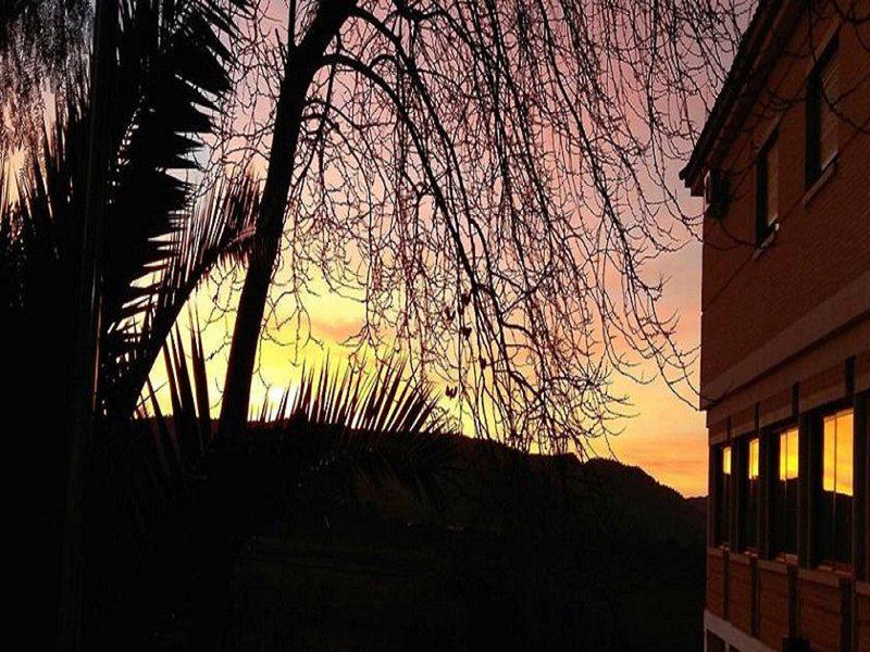 FD317DB9CC74B4E751425C81BCD02D5D