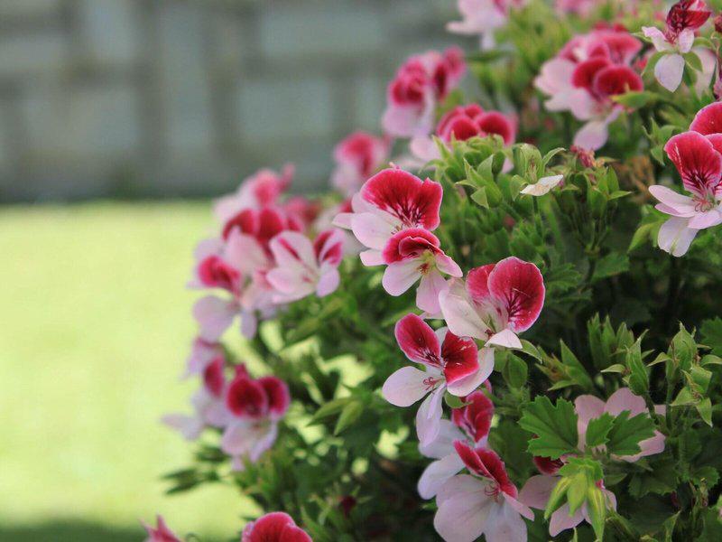 C480D51D17C39258019D50DFBE29EDB8