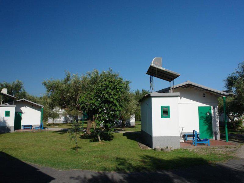 33B8A9A9B210D0D01A56EFBCD8AE8208