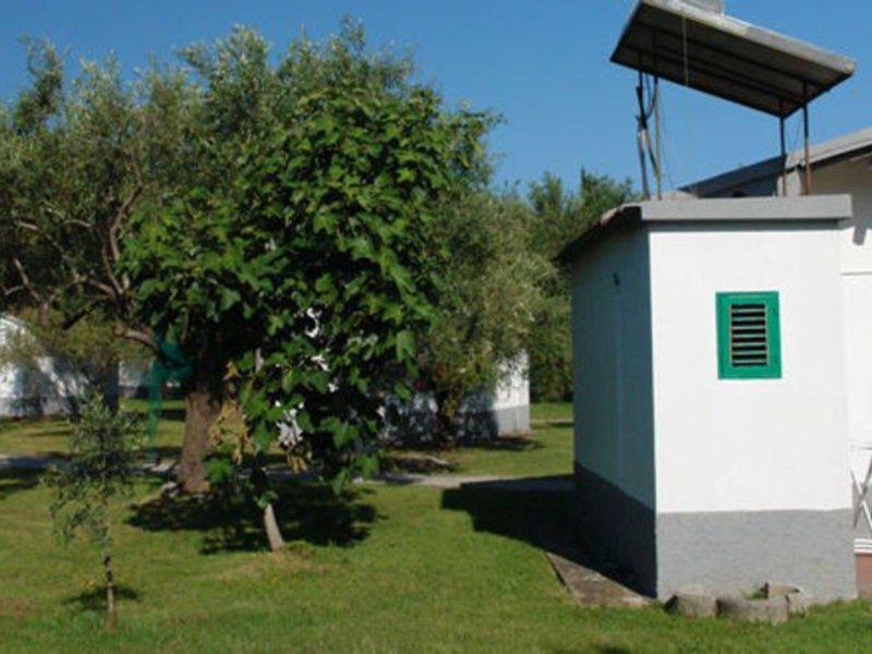 EF815DBDC99D49296A6993308882BE24