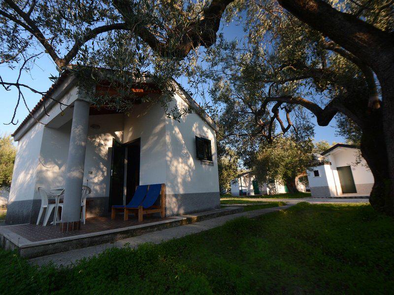 F0F3B22712A8BB01A843DE6A00189FC6