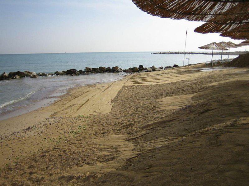 0EAF92C4CF552ABBAFFA29F3475B95F2