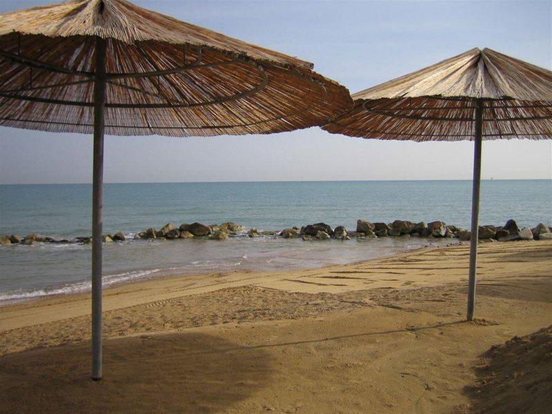 D876CAC703811C8E530ADC1E8653EC1D