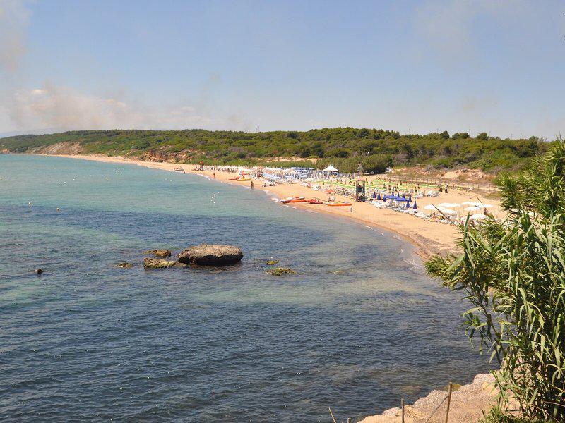 504AB09B5B6FAFD622BAC9ECDCCD1406