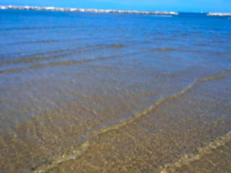 F564DCB5568C8B188F17EDCA28844989