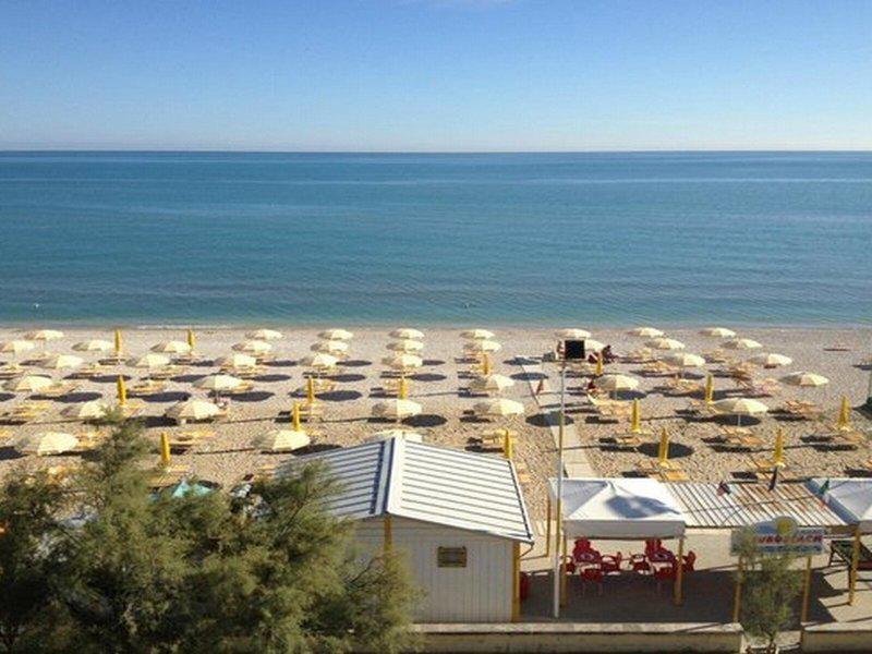 A10DB96CF2728A9B042D91C96E9D2963