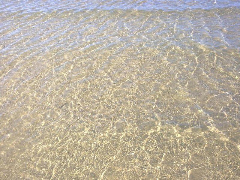 9C18DE048ED062EBD1A988A7E821B712