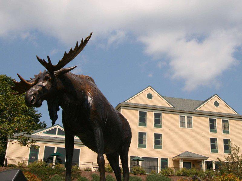 C60E4E94C0B3CA347DB7DED657FA99E8