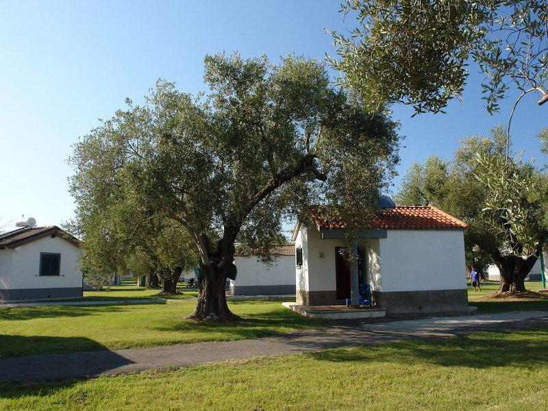 DA7E32C73B2AEFF4487FFF15F29E6AEF