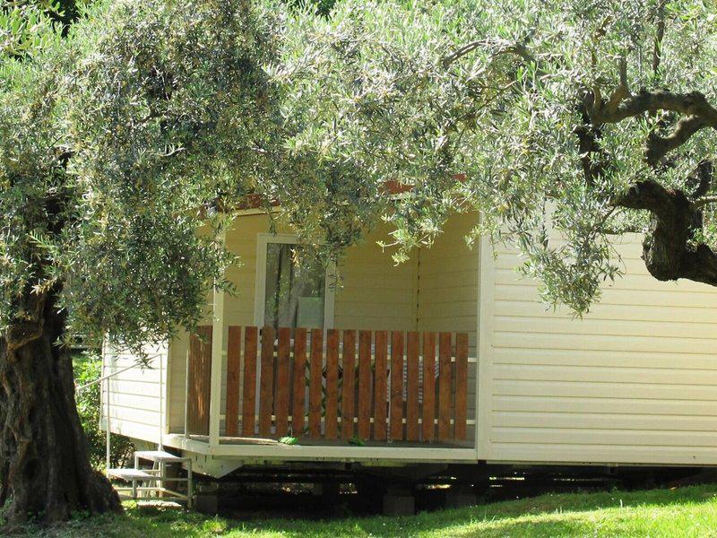 BBE26F0D3003829ADE8C7301A557050E