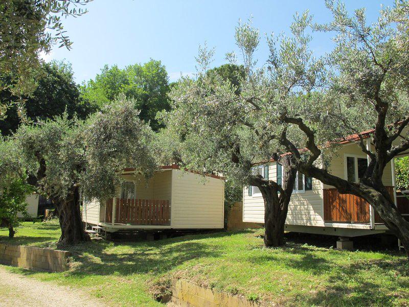 35E5798AA25305335CD1620E6B2B2E93