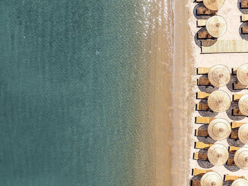 C195E587E0C8255E52D9F6501DEAC6A7