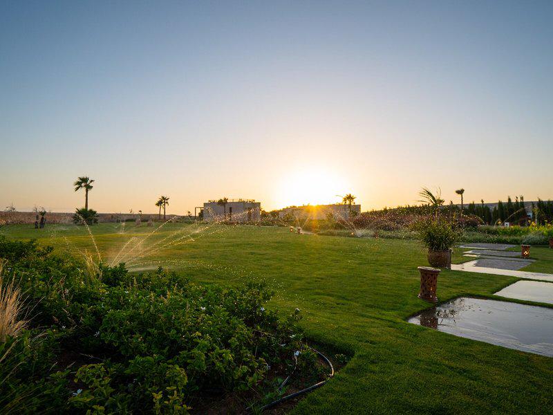 F6EDD2577D1CD0E09DA27F815A2C6B7A