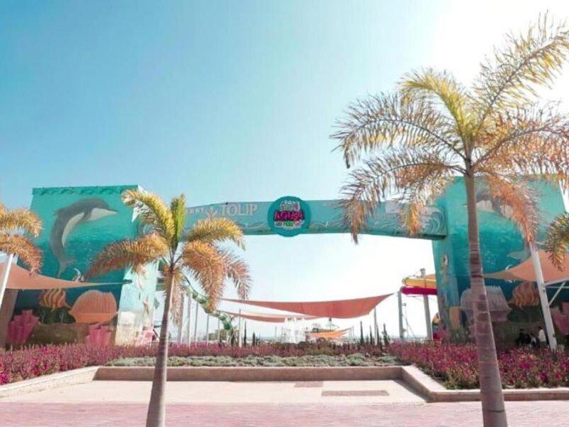 7C57B9E990D4A3F9CF336F5E4BA27119