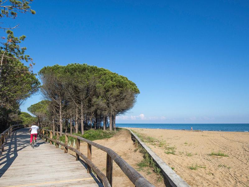 1E70C1F0DC5DBAB20FE3C54F615466FD