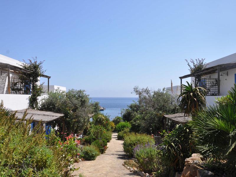 956E026EB3B7D2471D92E94C0A4D519F