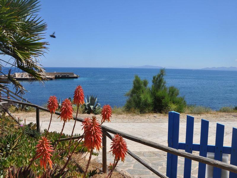 BF918DBD61A3EF9DC84B368ED1E39112