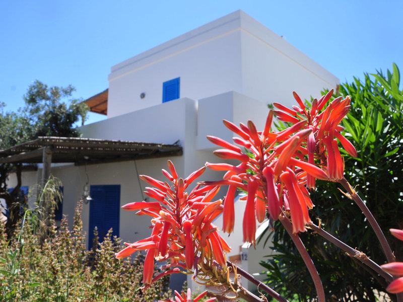 796B7E998E51EE6C626311102FAAACD6