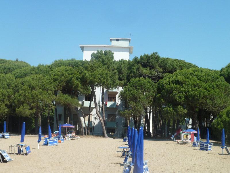 F70F358D147DA4E65996BA9C9F5F32BA