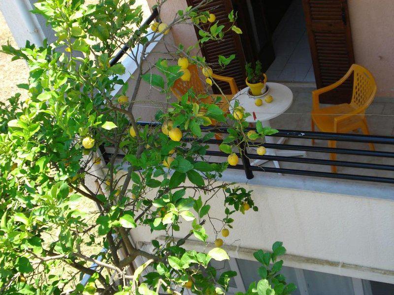 D691225C0D2AF37AFF10696AD2B8CD7F