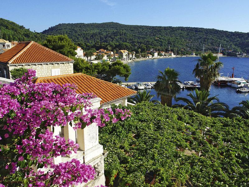 E40FD5E242E5F74F191B75C63C7BDC42