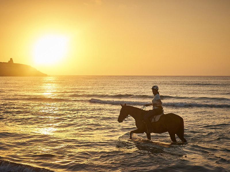 EDDE347814E7D1C5EAACE590287C78A9