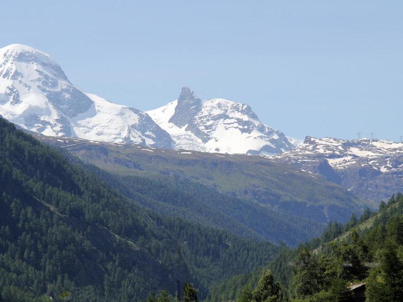 CA064D1F62A22098FF12B1A0A8F97897