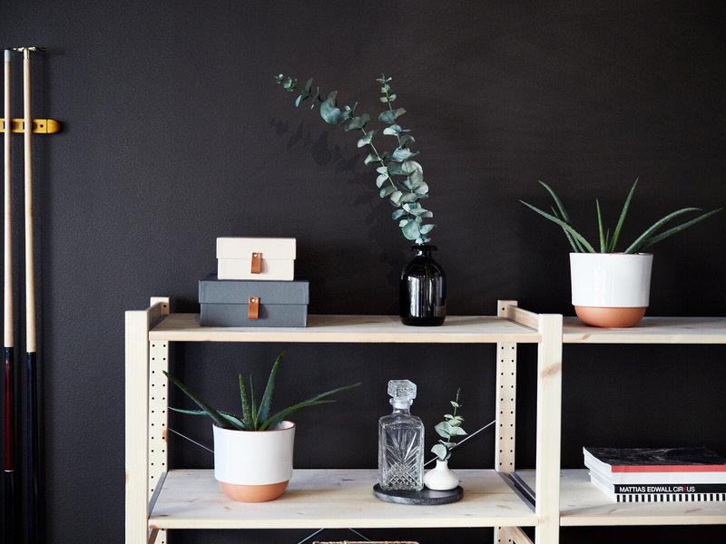 C4FF3DB241F6FAA4ED47A0566A4A8D3F