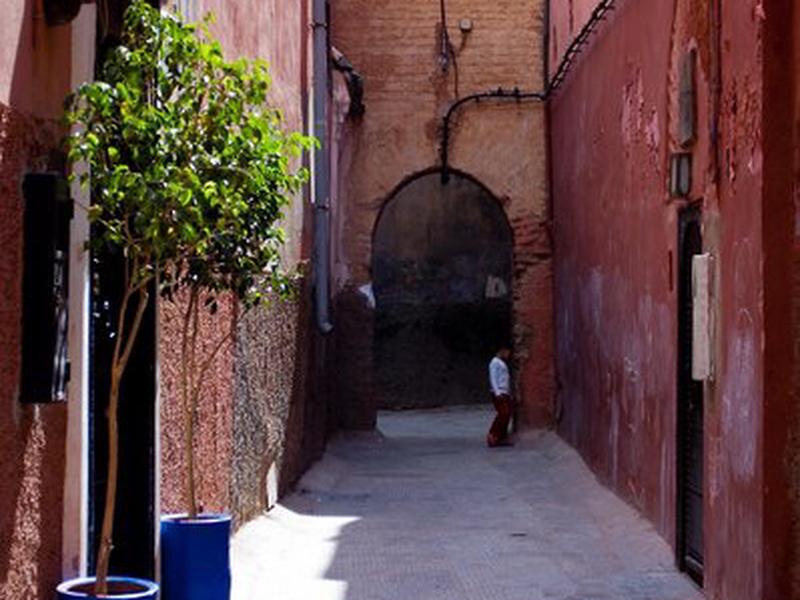 43B732FF3F81588A4F06683F1F888AD5