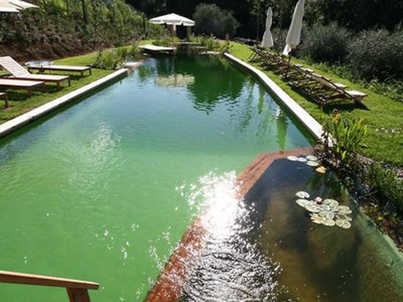 0F41E23D4153CDC92001B8A6F3C74977