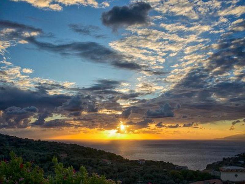 987FE884728A108C2A5998A9EB4F9349