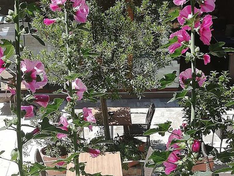 1E9DDD2F9D6D6D0F1A5BA927C808D124