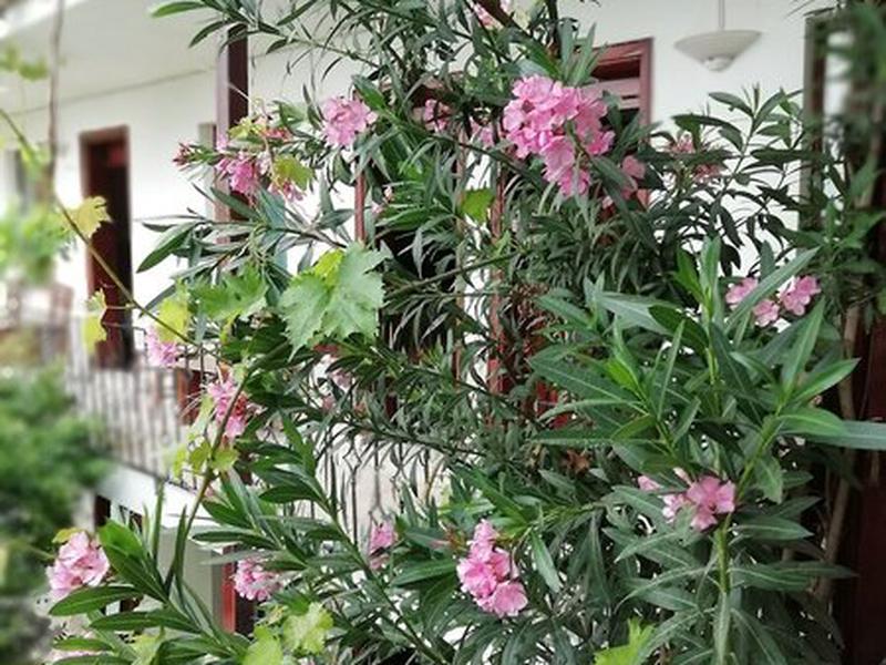 117B4C9920214660236F3B984E6B0D05