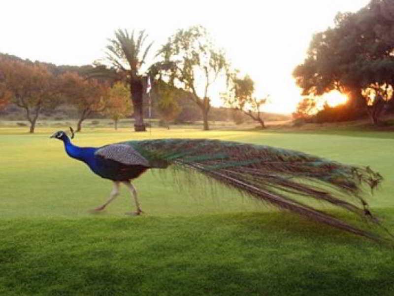 947936F44130C18A1B0B024B7A3FBC2D